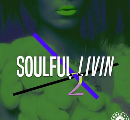 Loops 4 Producers Soulful Livin 2 WAV